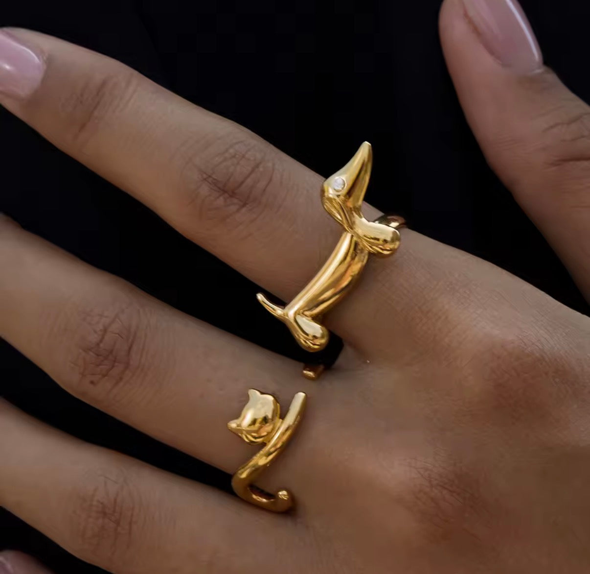 Pet Ring